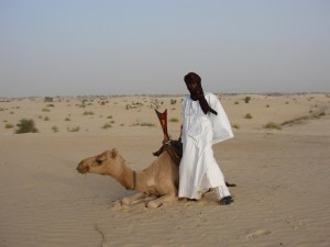 Mali Timbuktu camel 3 Jan 2007 (195)