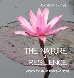resilience_front - low res for web