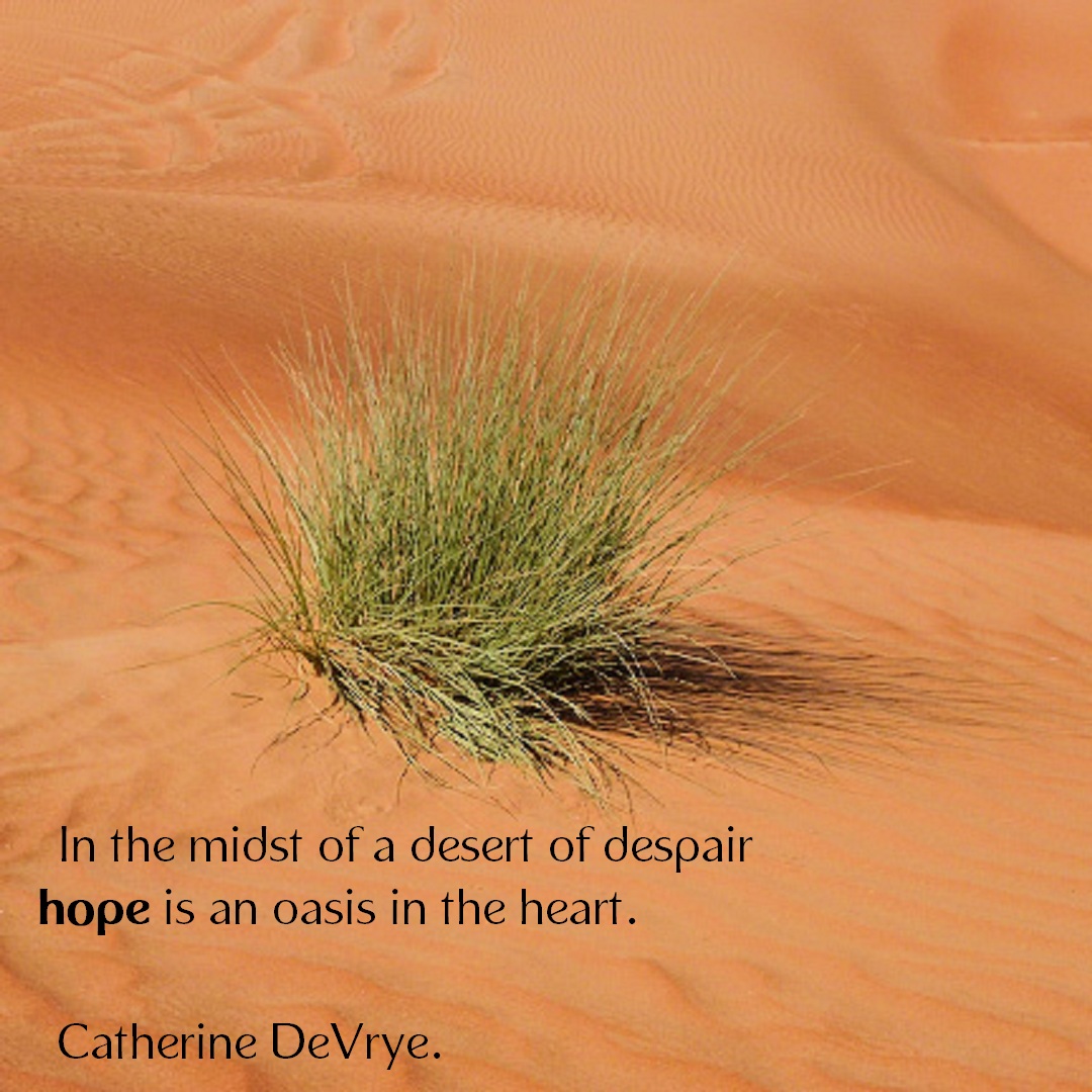 Page 41 -desert hope